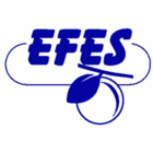 EFES Logistik s.r.o.
